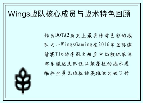 Wings战队核心成员与战术特色回顾