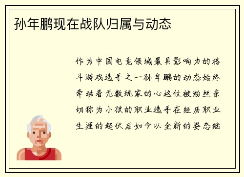 孙年鹏现在战队归属与动态