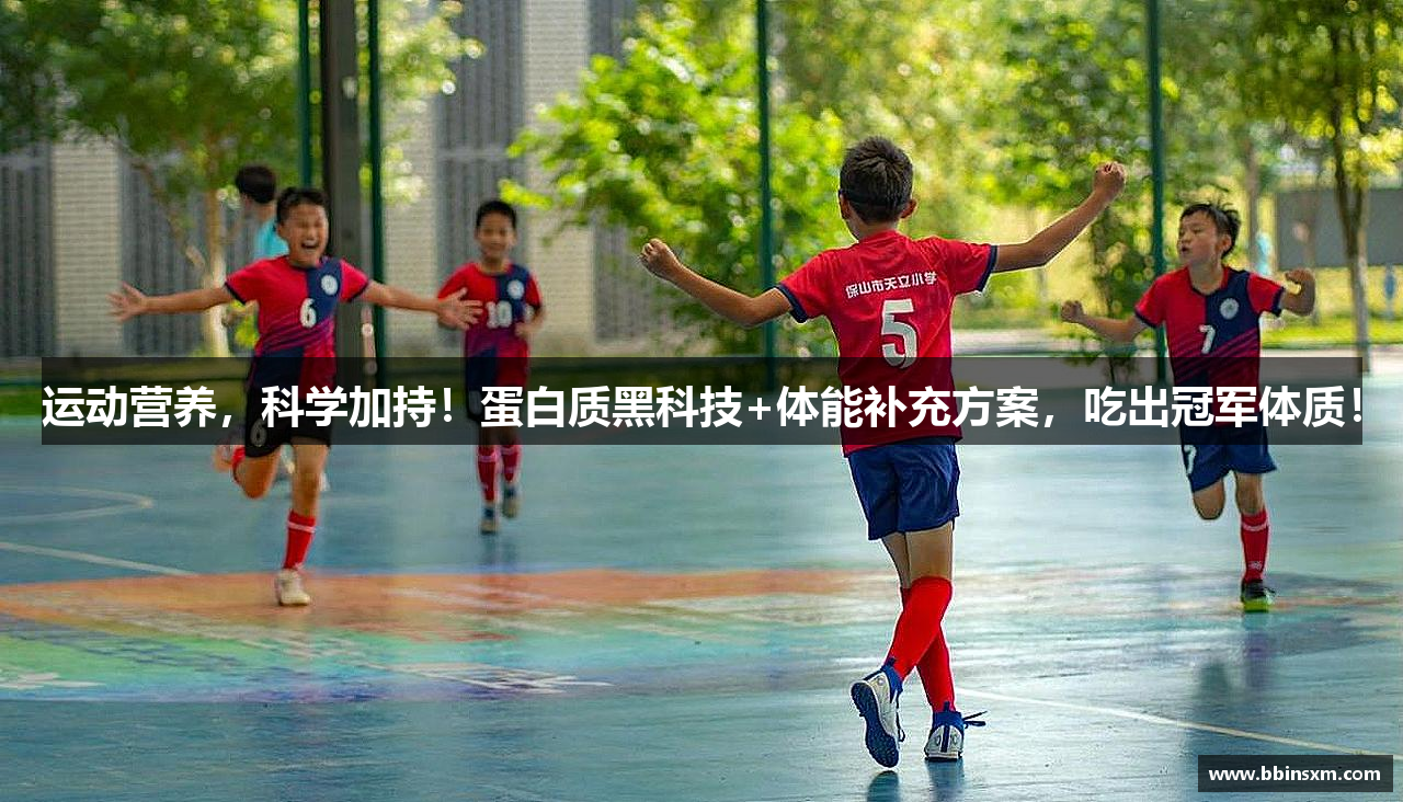 BB视讯真人